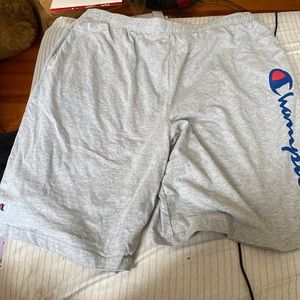 Mens champion shorts size 2x